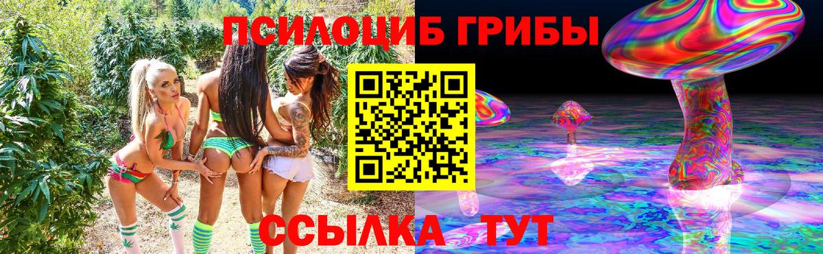 Псилоцибиновые грибы Cubensis Саров