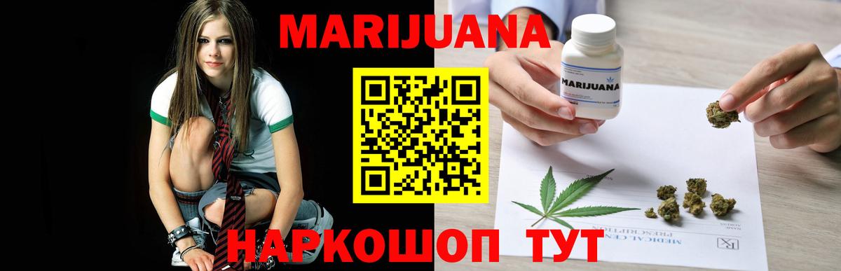 Марихуана White Widow  Канабис планчик  Саров  Вход с VPN  Конопля Bruce Banner 